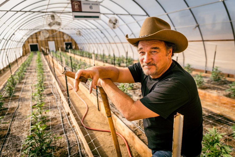 Live Nation Productions, Jim Belushi, and His (Legal) Cannabis Farm, Team Up for Reality Series “GROWING BELUSHI”