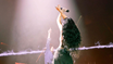 Noah Cyrus Releases Her Second EP "THE END OF EVERYTHING"